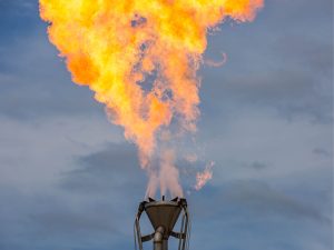 TEAS (Para Líquidos)