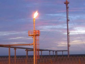 Teas Utilitarias (Sin Asistencia)